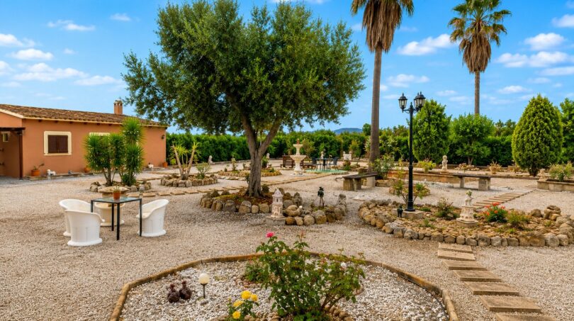 Mediterraner Kiesgarten mit Olivenbaum, Palmen, Brunnen und weißen Loungechairs bei Finca in Sencelles
