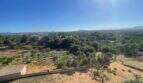 Outlook