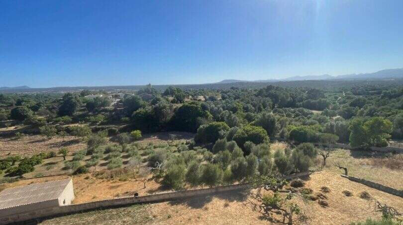 Outlook