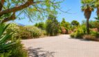 Gepflegter Zufahrtsweg der Finca in Marratxí mit Palmen, blühenden Oleanderbüschen und mediterranem Baumbestand.