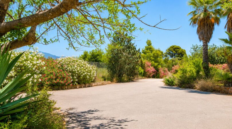 Gepflegter Zufahrtsweg der Finca in Marratxí mit Palmen, blühenden Oleanderbüschen und mediterranem Baumbestand.