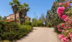 Zufahrtsweg zur Finca in Marratxí mit Palmen, Oleander und mediterranem Gartenambiente.
