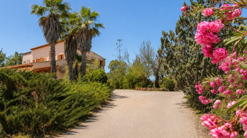Zufahrtsweg zur Finca in Marratxí mit Palmen, Oleander und mediterranem Gartenambiente.