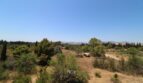 Weitläufiges Grundstück der Finca in Marratxí mit mediterraner Vegetation und Bergpanorama im Hintergrund