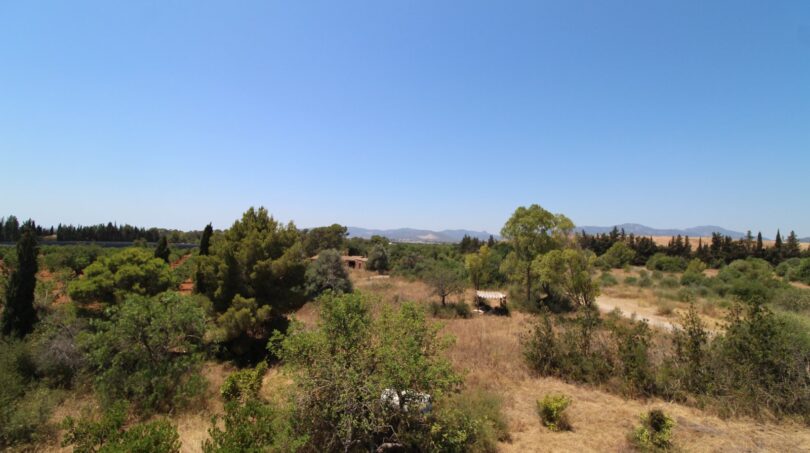 Weitläufiges Grundstück der Finca in Marratxí mit mediterraner Vegetation und Bergpanorama im Hintergrund