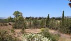 Weitläufiger Blick auf mediterrane Landschaft mit Zypressen, Bergpanorama und üppiger Vegetation der Finca Marratxí
