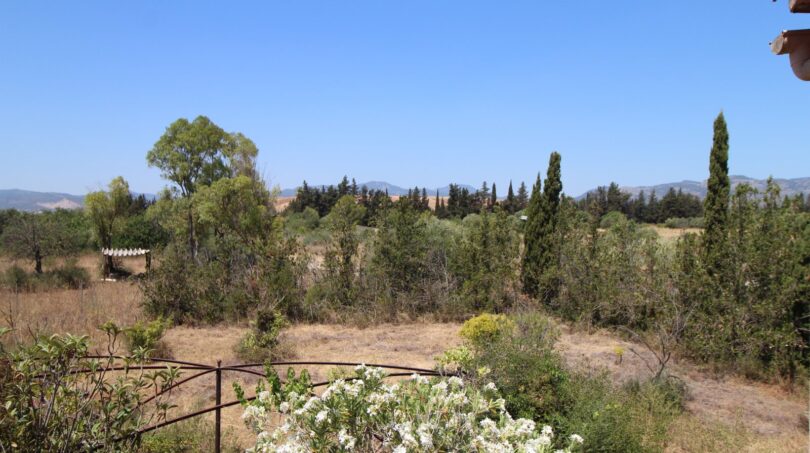 Weitläufiger Blick auf mediterrane Landschaft mit Zypressen, Bergpanorama und üppiger Vegetation der Finca Marratxí