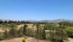 Weitläufiger Blick auf mediterrane Landschaft mit Bäumen, Sträuchern und Bergpanorama der Finca in Marratxí.
