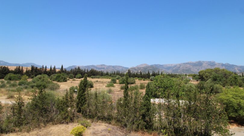 Weitläufiger Blick auf mediterrane Landschaft mit Bäumen, Sträuchern und Bergpanorama der Finca in Marratxí.