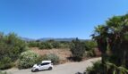 Außenbereich der Finca in Marratxí mit Palmen, mediterraner Vegetation und Bergpanorama unter blauem Himmel.