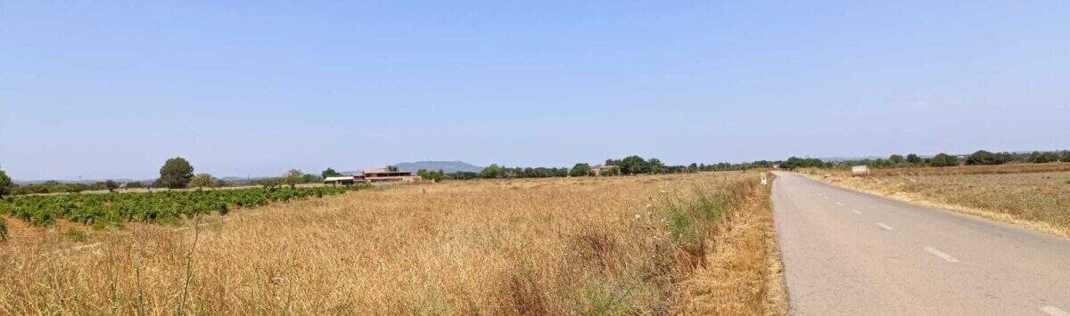 Bild zum Objekt: 17.676m² Grundstück mit Landblick und Bergblick zu kaufen