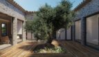 Sonniger Innenhof einer Finca in Artà mit altem Olivenbaum, Holzdeck und mediterranen Natursteinmauern.