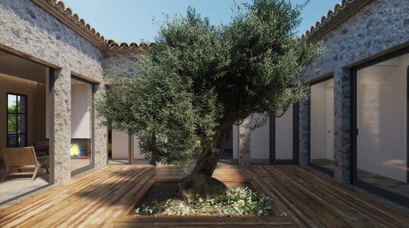 Sonniger Innenhof einer Finca in Artà mit altem Olivenbaum, Holzdeck und mediterranen Natursteinmauern.