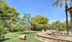 Weitläufiger Garten der Finca mit Palme, Steinmauer, Amphitheater-Terrasse und dekorativem Tonkrug