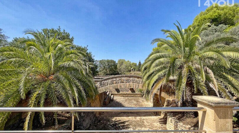 Gepflegte Gartenanlage der Finca mit Palmen, Natursteinbrücke und Trockenmauerwerk unter blauem Himmel.