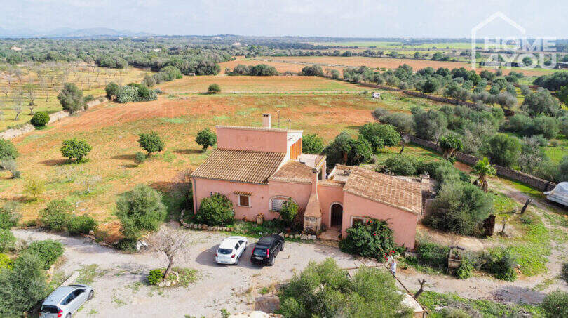 Luftaufnahme einer rosa Finca in Ses Salines mit Terrakotta-Dach, Parkplatz und weitläufigem Grundstück mit Olivenbäumen.