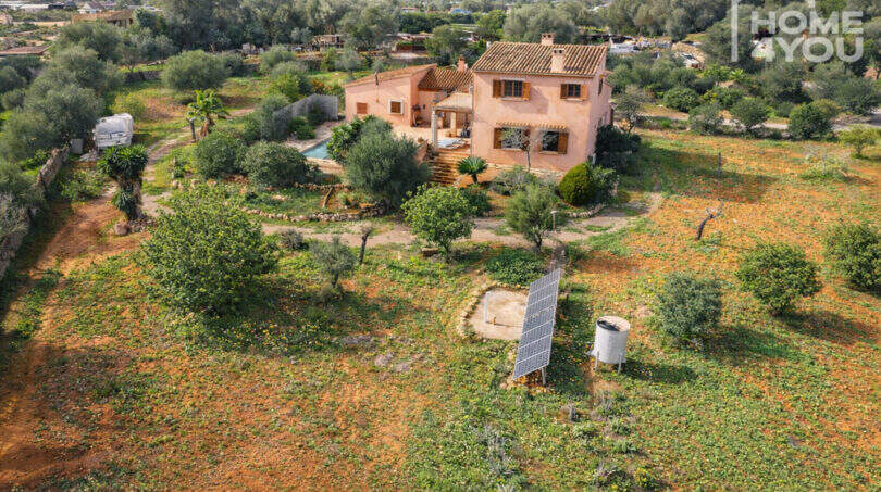 Luftaufnahme Finca Ses Salines: Mediterranes Landhaus mit Pool, Olivenbäumen, Solaranlage und weitläufigem Grundstück.