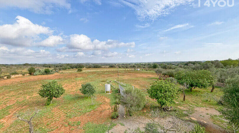 Weitläufiges Finca-Grundstück in Ses Salines mit Obstbäumen, Wassertank und freiem Blick über die Landschaft.