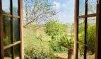 Holzfenster mit Blick auf üppigen Garten mit Palme und Olivenbäumen der Finca in Ses Salines