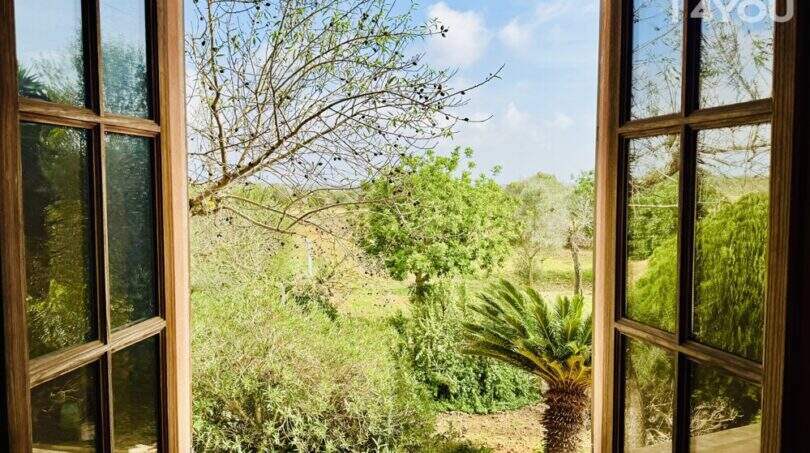 Holzfenster mit Blick auf üppigen Garten mit Palme und Olivenbäumen der Finca in Ses Salines