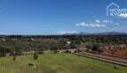 Weitläufiges Grundstück der Finca in Santa Margalida mit Rasenfläche, Palmen und Bergpanorama