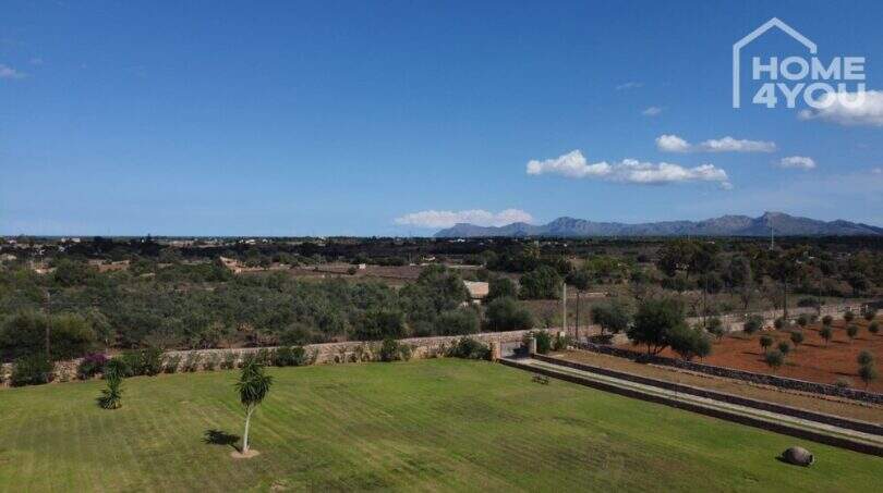 Weitläufiges Grundstück der Finca in Santa Margalida mit Rasenfläche, Palmen und Bergpanorama
