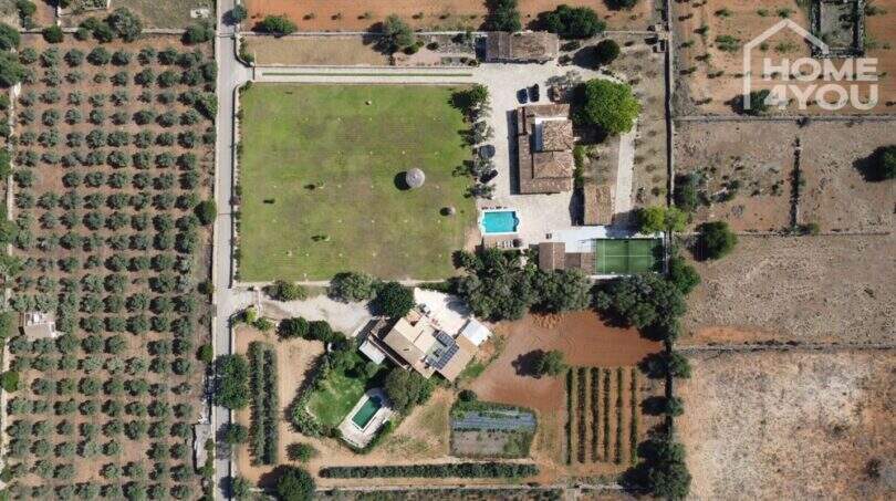 Luftaufnahme mediterrane Finca Santa Margalida: Pool, Padelplatz, großer Garten, Olivenhaine, 8.970 m² Grundstück