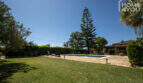 Gepflegter Garten mit Pool, Liegestühlen und großem Nadelbaum der mediterranen Finca in Lloseta.