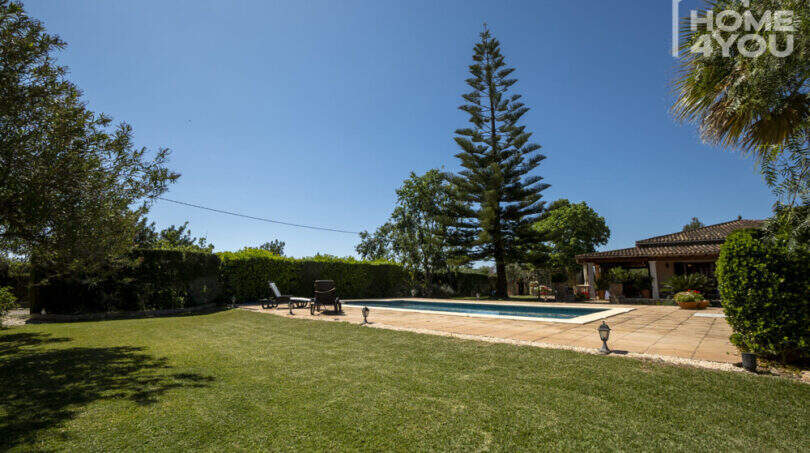 Gepflegter Garten mit Pool, Liegestühlen und großem Nadelbaum der mediterranen Finca in Lloseta.