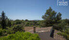 Weitblick über Landschaft und Baumkronen von der Finca in Lloseta, Mallorca – mediterrane Natur pur.