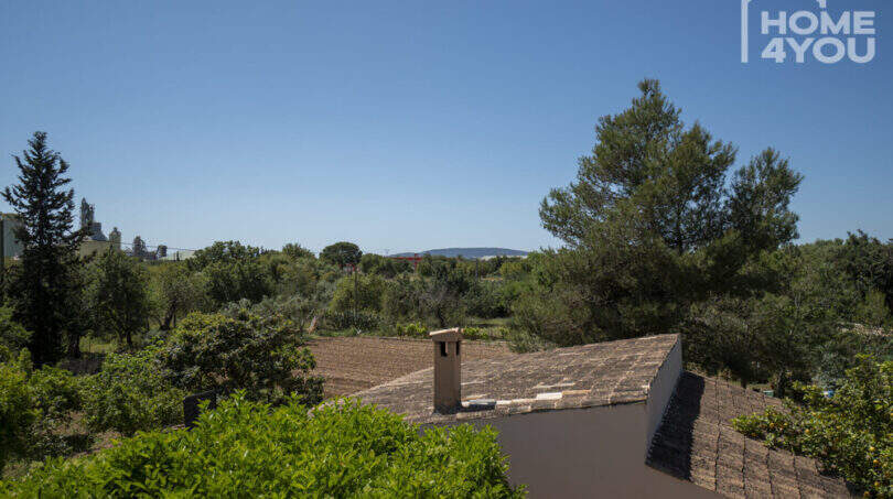 Weitblick über Landschaft und Baumkronen von der Finca in Lloseta, Mallorca – mediterrane Natur pur.