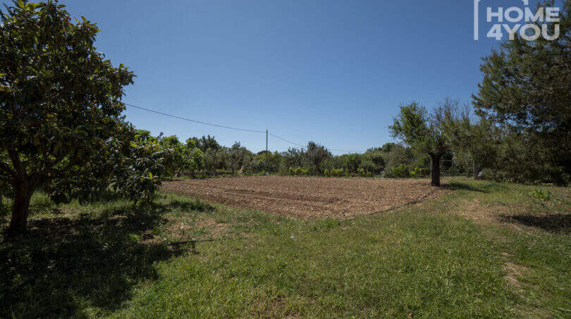 Gepflegtes Grundstück der Finca in Lloseta mit umgepflügtem Anbaufeld, Obstbäumen und mediterraner Vegetation.