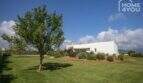 Extensive garden area of the Mediterranean finca in Sa Pobla with well-maintained lawn and modern main house