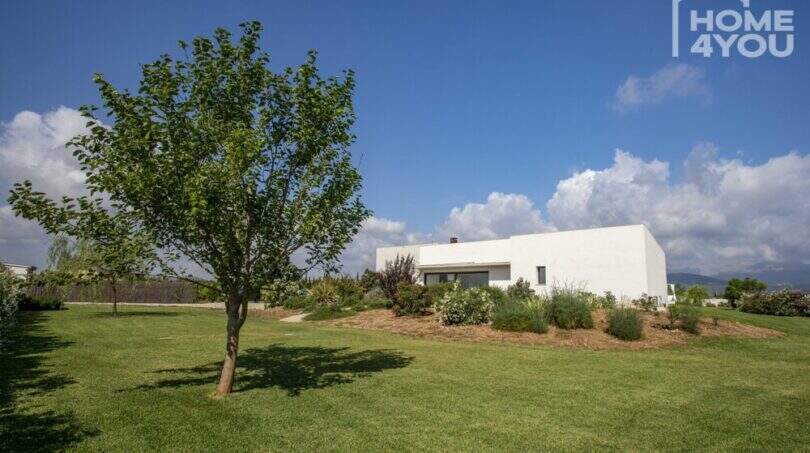 Extensive garden area of the Mediterranean finca in Sa Pobla with well-maintained lawn and modern main house