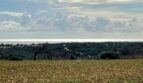 Weitläufiges Feld mit Baumbestand und Meerblick der Finca in Cala Murada, Manacor