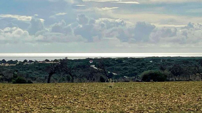 Weitläufiges Feld mit Baumbestand und Meerblick der Finca in Cala Murada, Manacor