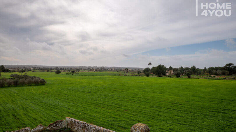 Weiter Blick auf grüne Felder und Landschaft rund um die historische Natursteinfinca bei Campos, Mallorca.