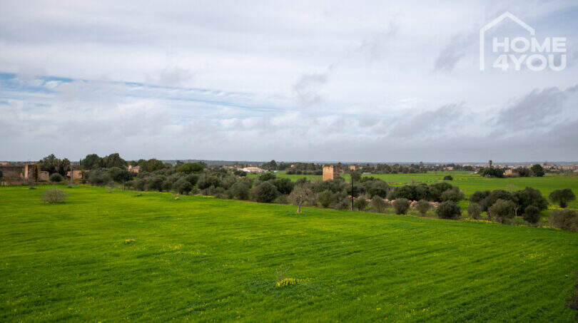 Weitläufige Grünflächen der Natursteinfinca bei Campos mit Olivenbäumen und historischen Gebäuden im Hintergrund