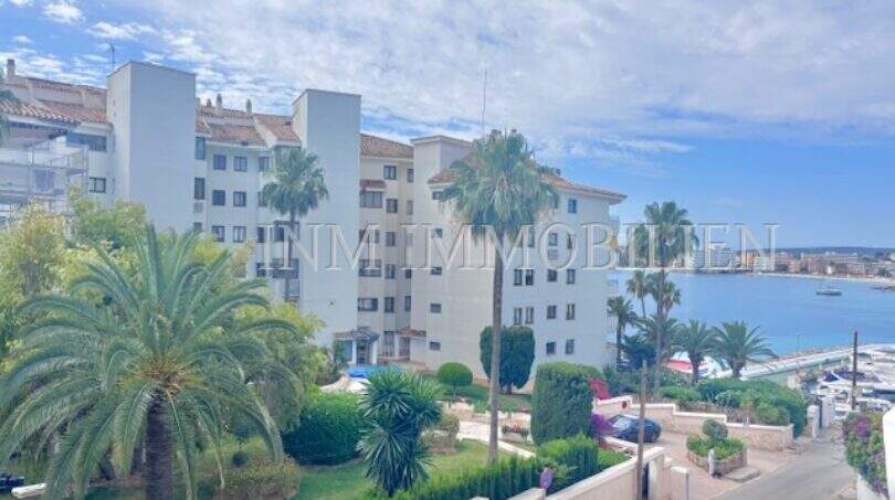 Außenansicht Apartment Palmanova: Wohnanlage mit Palmen, gepflegtem Garten und Meerblick auf den Hafen.