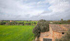 Panoramablick auf grüne Felder und Olivenbäume, historisches Natursteingebäude mit Terrakottadach, Finca bei Campos