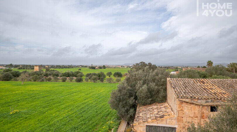 Panoramablick auf grüne Felder und Olivenbäume, historisches Natursteingebäude mit Terrakottadach, Finca bei Campos
