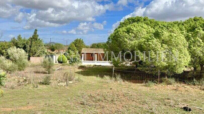 Weitläufiges Grundstück mit kleinem Landhaus, Bäumen und Bergblick – Finca in Llucmajor, Mallorca