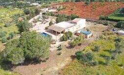 Vista aérea de una finca en Llucmajor con dos unidades de vivienda, piscina y amplio terreno con olivos.