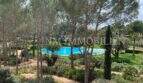 Weitläufige Gartenanlage mit ovalem Gemeinschaftspool, Pinien und mediterraner Bepflanzung im Es Pinar Komplex, Bendinat.