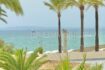 Sea view with turquoise blue water, sandy beach and palm trees at Playa de Palma, Mallorca