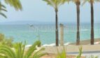 Sea view with turquoise blue water, sandy beach and palm trees at Playa de Palma, Mallorca