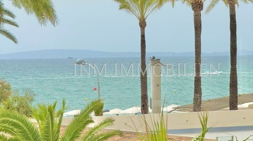 Sea view with turquoise blue water, sandy beach and palm trees at Playa de Palma, Mallorca
