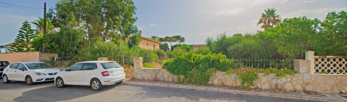 Grundstück in Ses Covetes mit Steinmauer, Grünbepflanzung und Palmen, Bauplatz für Einfamilienhaus mit Pool.