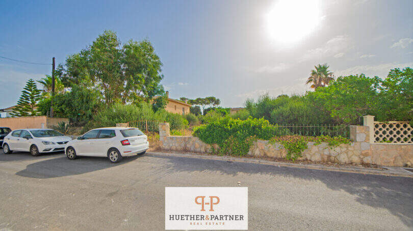 Grundstück in Ses Covetes mit Steinmauer, Grünbepflanzung und Palmen, Bauplatz für Einfamilienhaus mit Pool.