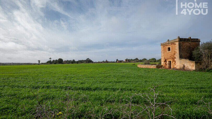 Weitläufiges grünes Grundstück mit historischem Natursteinturm der Finca bei Campos, 21.300 m²